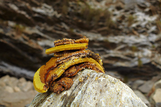 Tweak-d By Nature Restore Hair Treatment Finishing Spray For Dry Damaged Hair 8 oz.