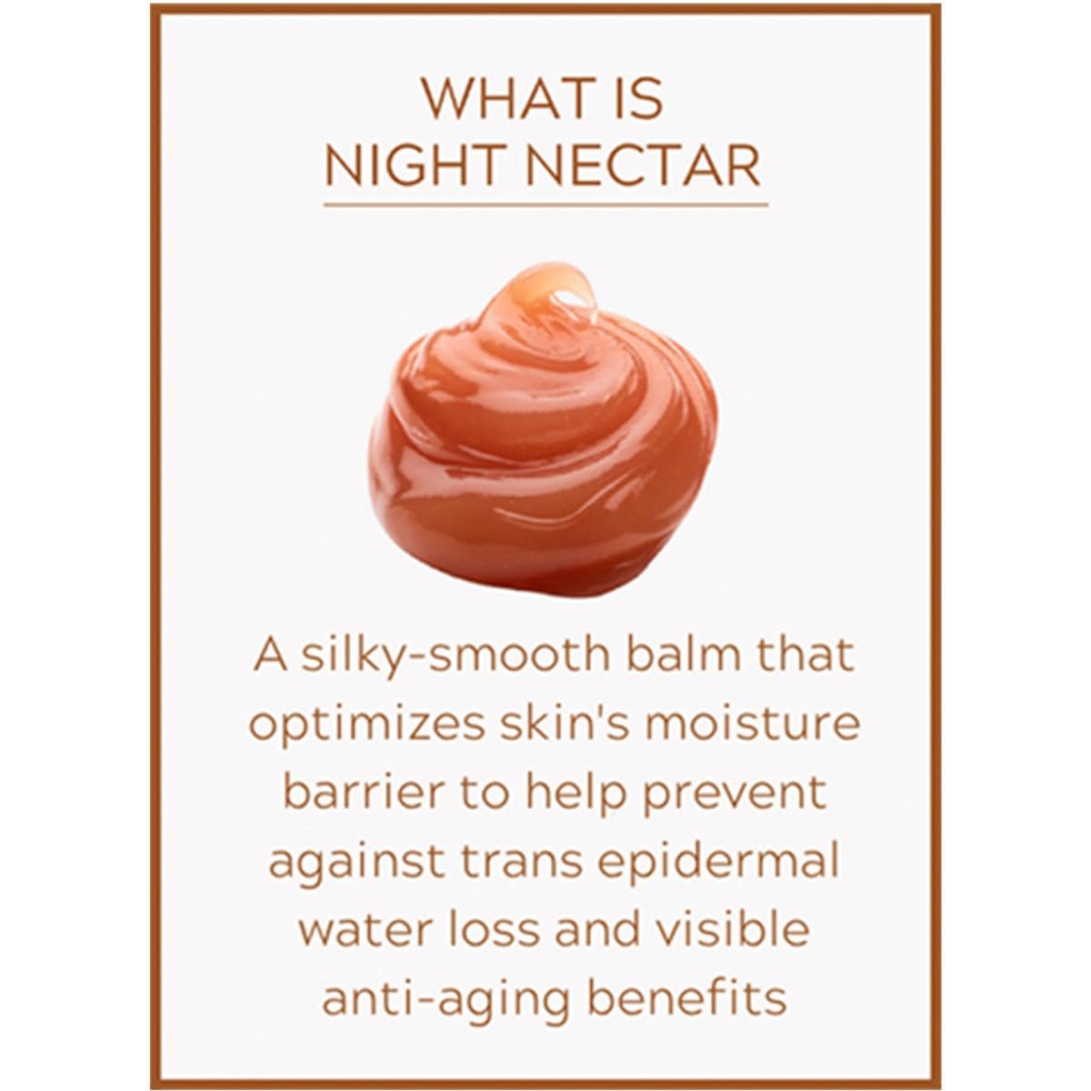 Active Argan Night Nectar Stem Cell Concentrate