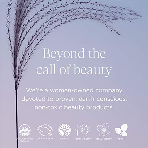 Intelligent Nutrients Sooth-Sayer Bi-Phase Scalp Treatment - Deeply Hydrating Plant Oils Help Balance & Improve Dry, Itchy Scalp - Soothing Celery Seed Extract & Caffeine (3.4 oz)