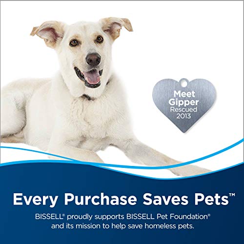 Bissell Professional Spot and Stain + Oxy Portable Machine Formula