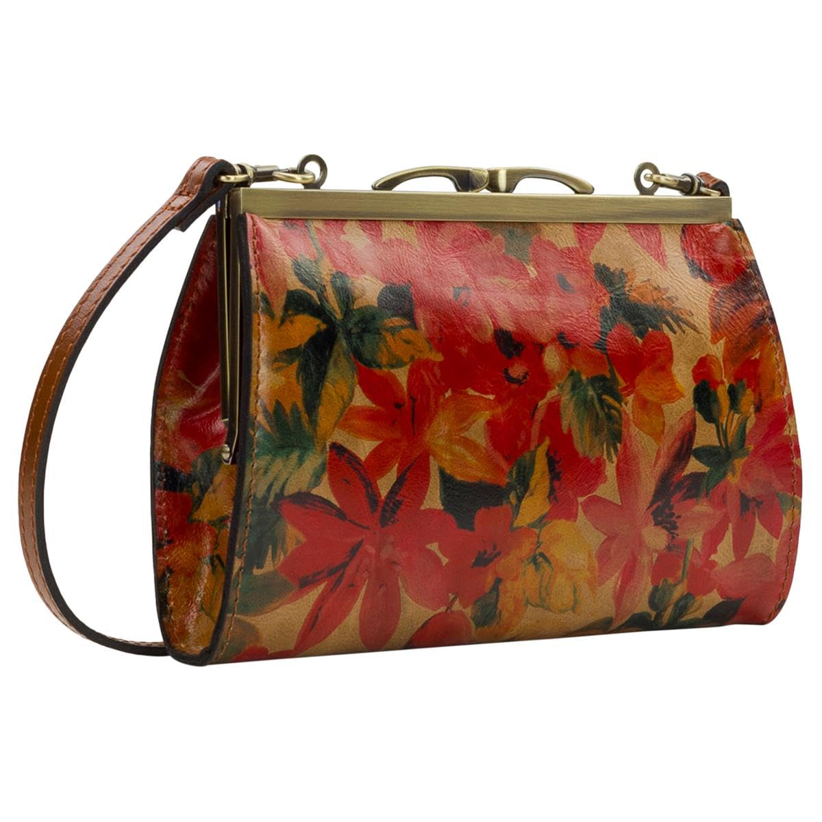 Patricia Nash Milina Frame Crossbody Bag