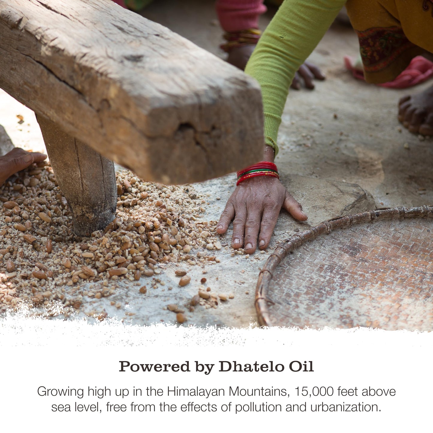 Tweak’d by Nature - Restore Hair Strengthening Shampoo, Ultra-Moisturizing for Dry Damaged Hair, Leaves Hair Shiny and Soft, Cruelty Free