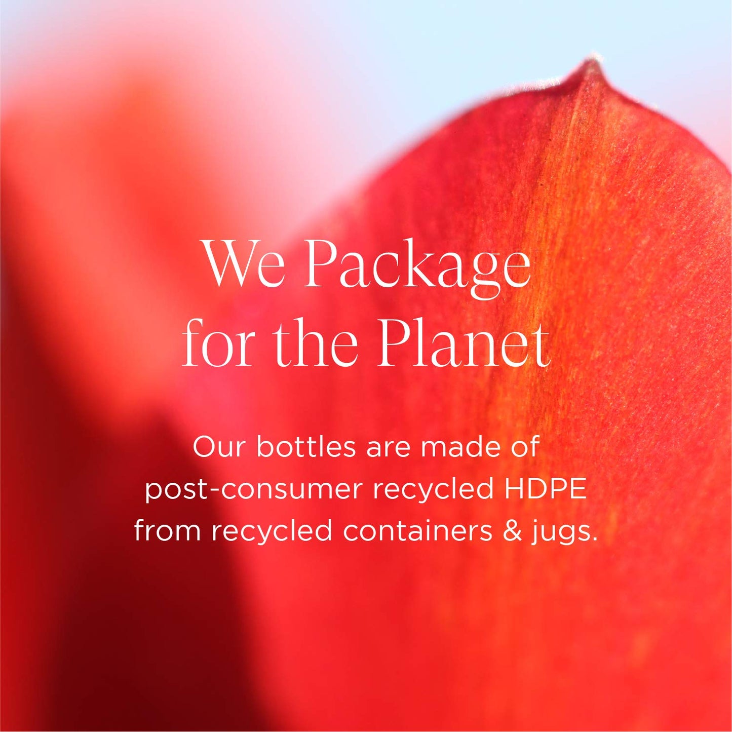 Intelligent Nutrients InspiraMint Invigorating Conditioner - Formerly PureLuxe Conditoner - Hydrating, Non-Toxic Hair Care with Peppermint & Spearmint Oil - New Look, Same Tingle (8 oz)