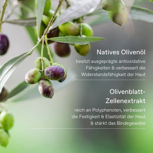 KORRES Olive Hand Cream