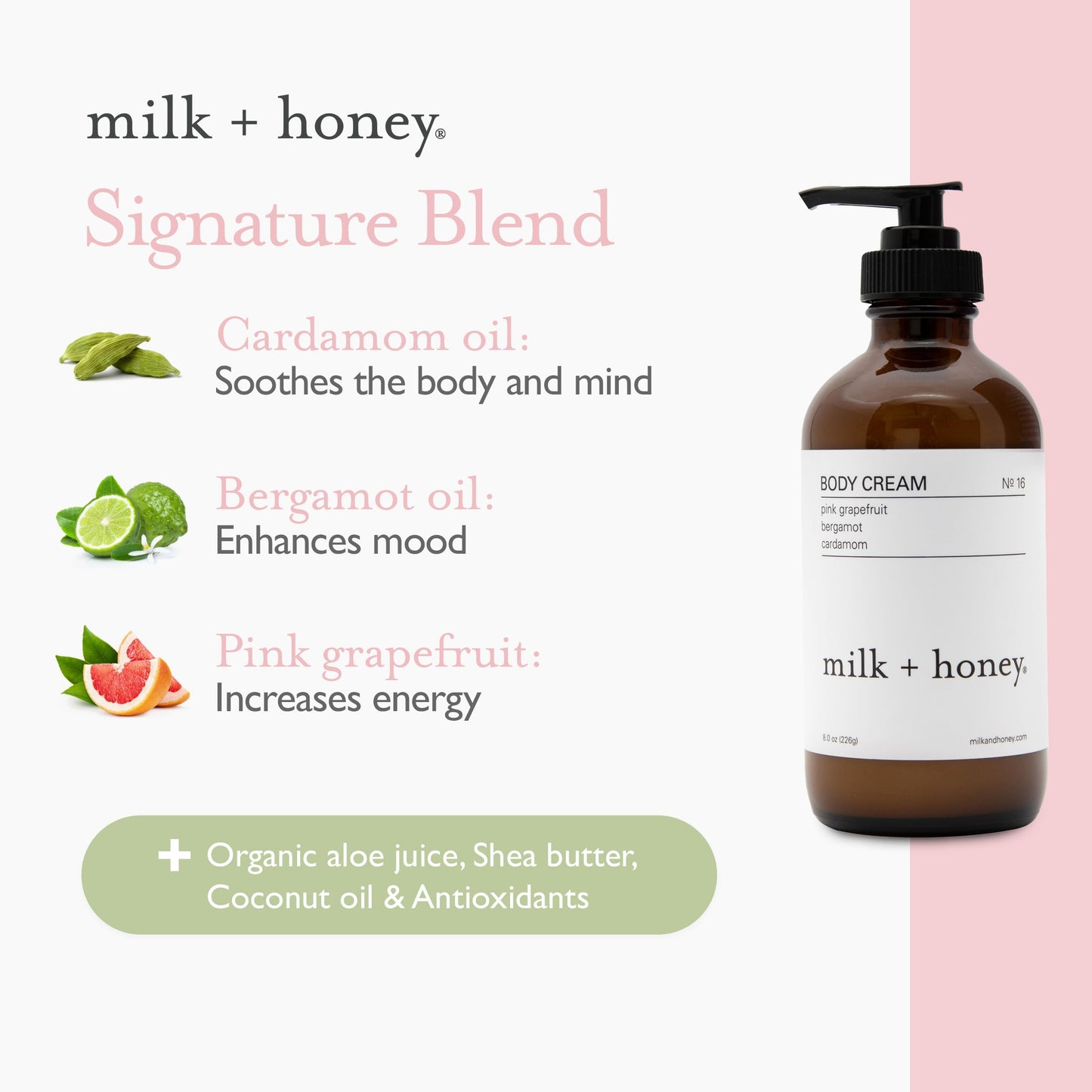 milk + honey Body Cream for Women and Men, Ultra-Nourishing Moisturizing Lotion