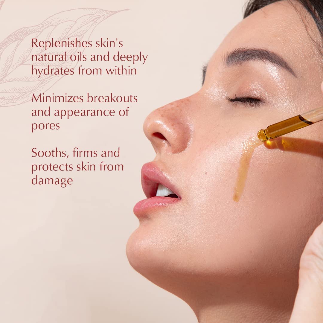 Pili Ani Ageless Concentrate – The perfect hydrating facial oil for daytime use, made with Pure Pili Oil and Elemi Oil for radiant and glowing skin. Vitamin E oil for face skincare 1.35 oz.