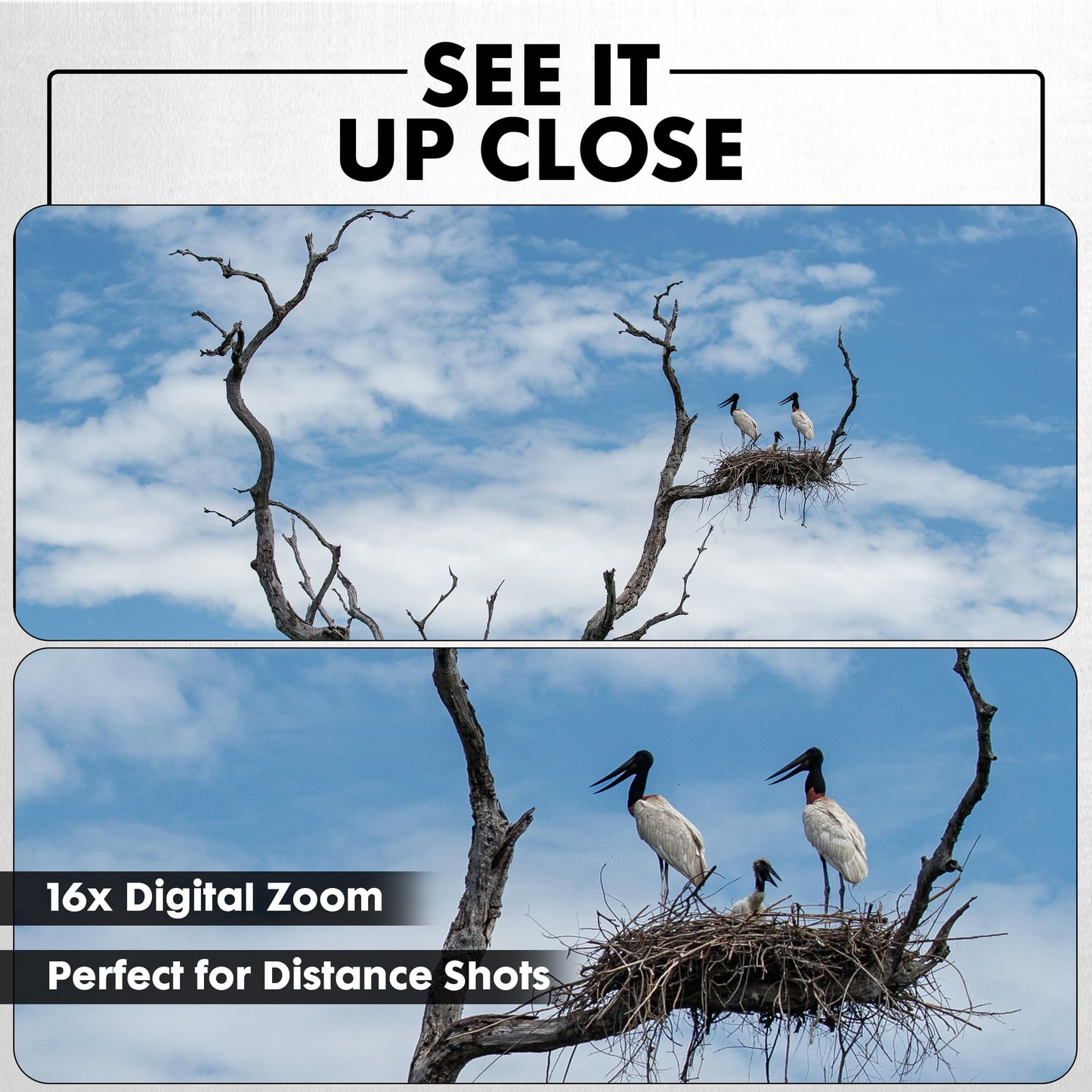 Minolta 64 Mega Pixels Digital Camera with 4K Video 60 FPS & WiFi, Blue