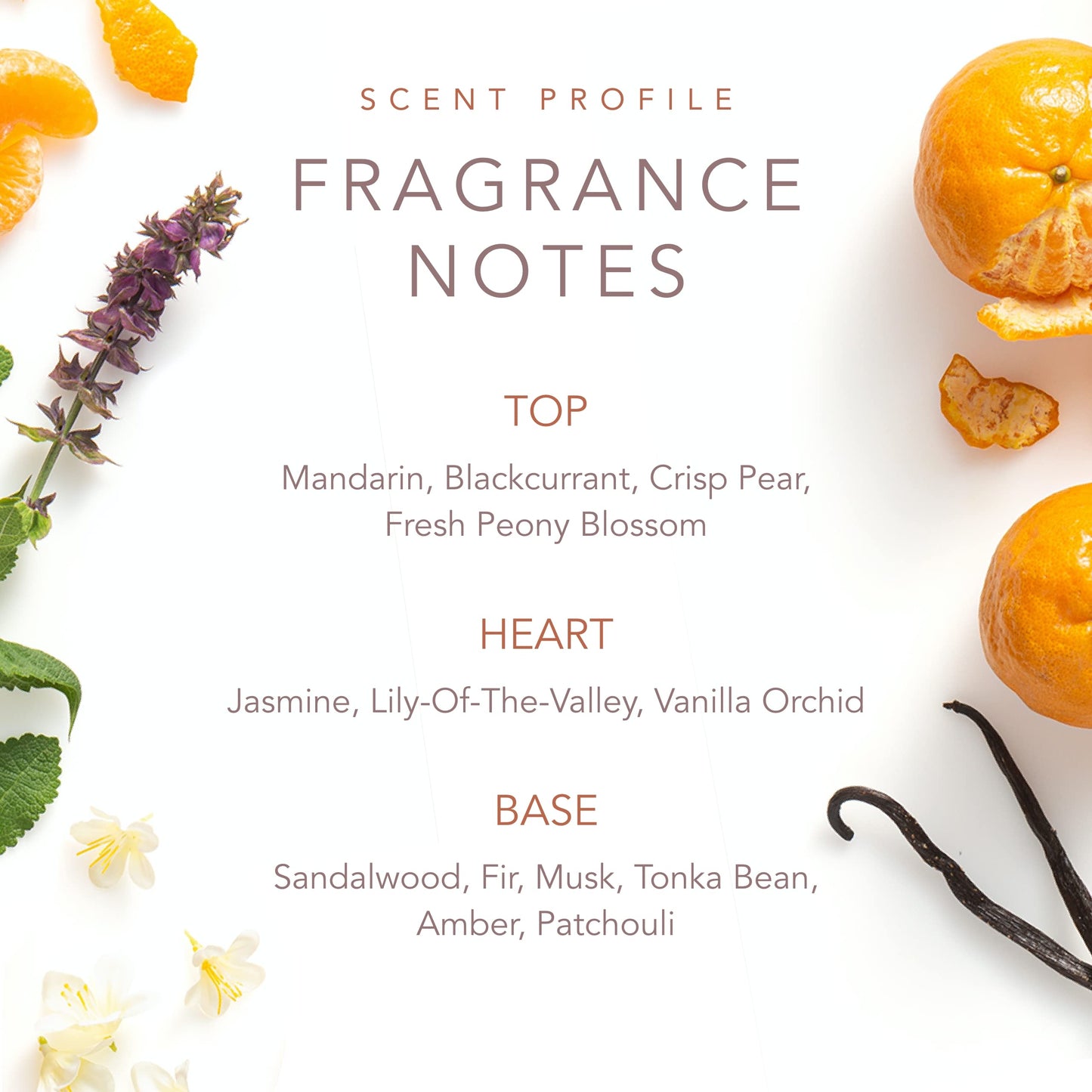 Dolly Parton EDT - Perfume for Women - Scent from Above