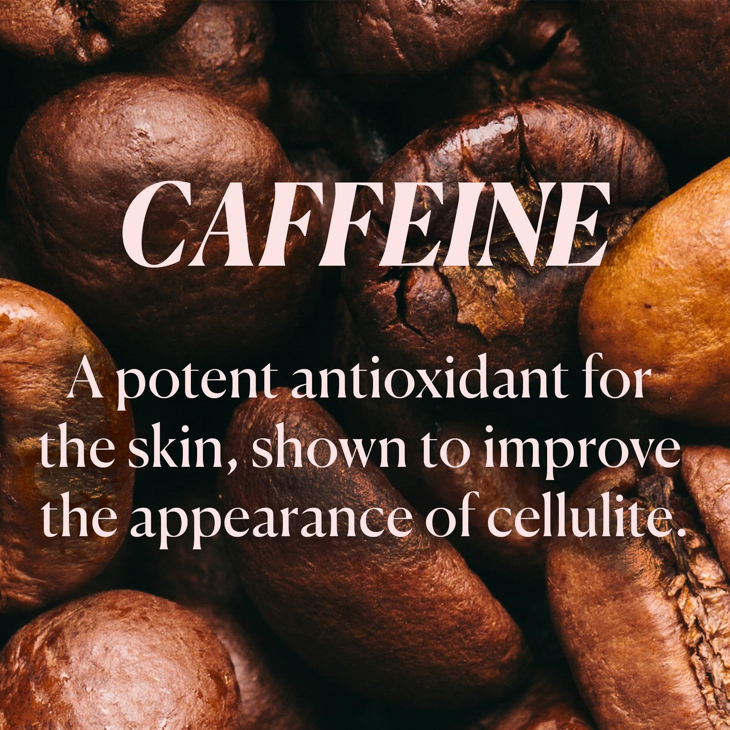 Nakery Bronzing Blur Perfector