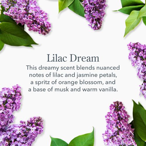 Beekman 1802 Lilac Dream Whipped Body Cream