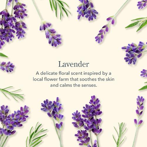 Beekman 1802 Lavender Goat Milk Soap Bar