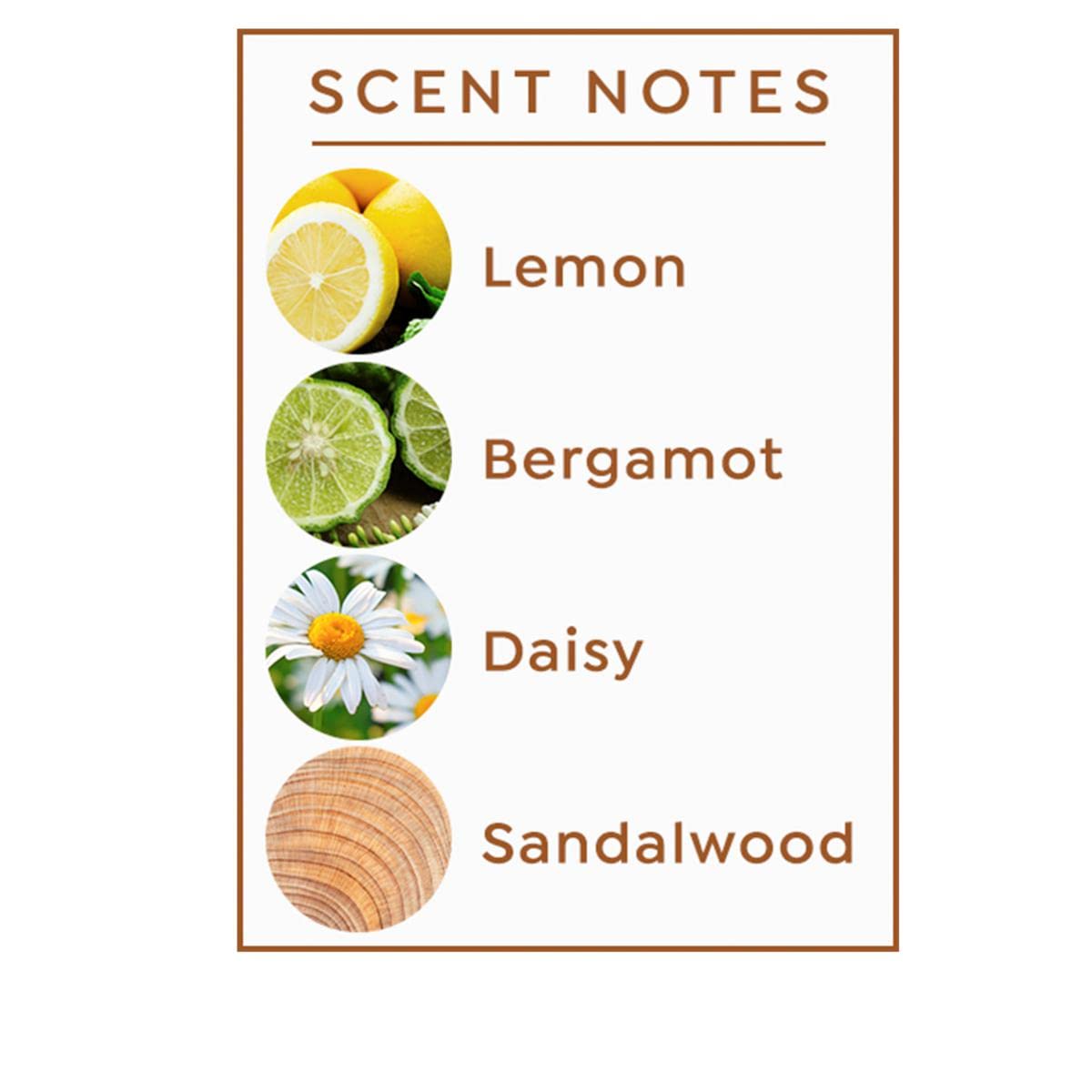 Active Argan Experience Collection 4-piece All Over Drops for Face, Body & Hair - 4 x 1.0 fl. oz. (All Over Drops 1.0 Fl.oz. - Pure 1.0 fl.oz. - Lavender 1.0 fl.oz. - Mint 1.0 fl.oz)