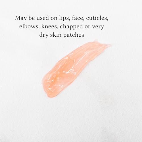 C.O. Bigelow Lip Balm Tube Trio, Variety Pack includes Rose Salve, My Favorite Lip Balm, Mentha Shine, Moisturizing Balms, 3 Pack, 0.5 oz Each